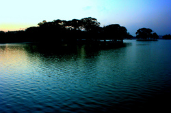 Ulsoor Lake.jpg